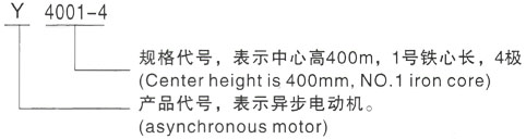 西安泰富西玛Y系列(H355-1000)高压YKS4004-6/280KW三相异步电机型号说明