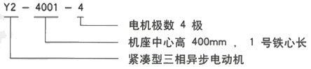 YR系列(H355-1000)高压YKS4004-6/280KW三相异步电机西安西玛电机型号说明